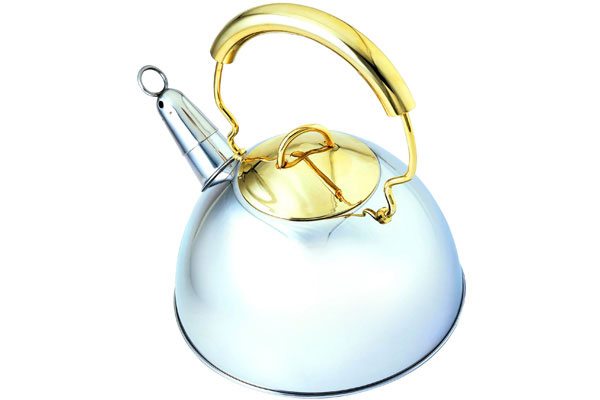 SK-3801 Stainless Steel Whistling Tea Kettle