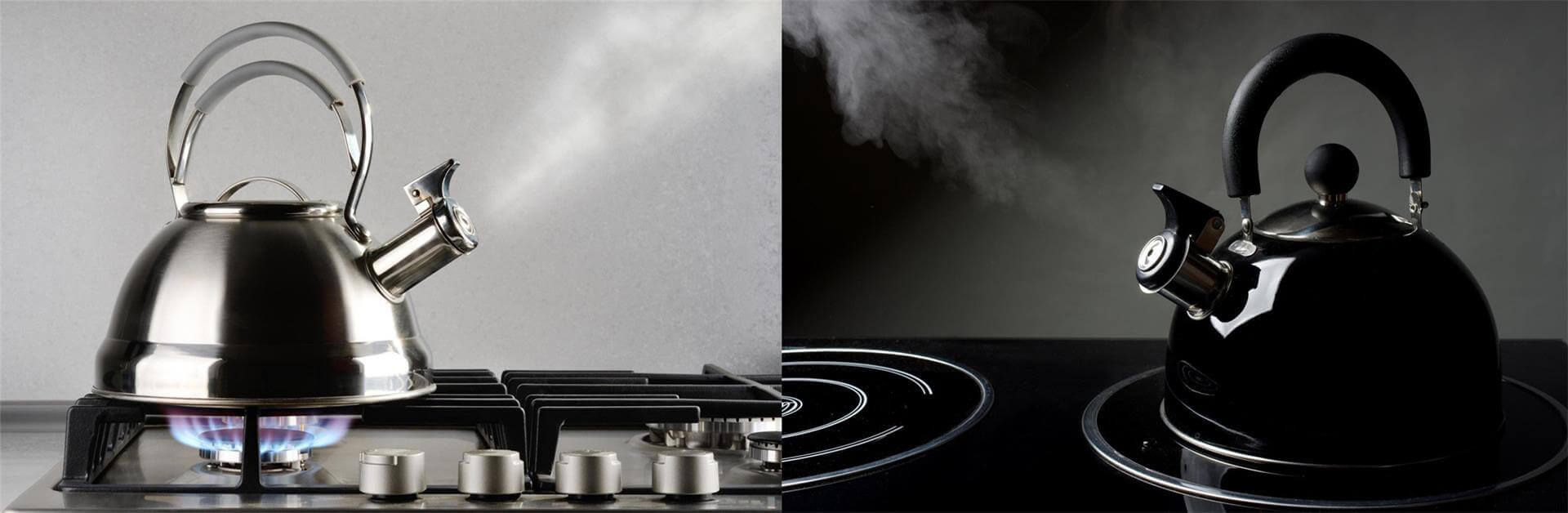 Stainless Steel Whistling Tea Kettle on Stovetop